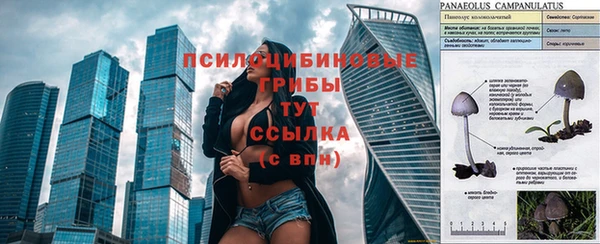 марихуана Володарск